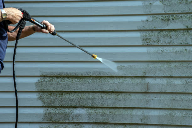Best Deck Cleaning Services  in Dellwood, MN