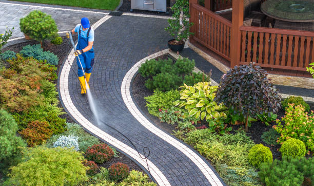  Dellwood, MN Pressure Washing Pros